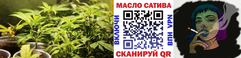 Дистиллят ТГК концентрат  МЕГА как зайти  Абаза  сколько стоит 